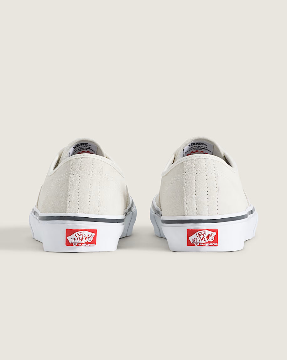 Vans Skate Authentic in White/Gunmetal
