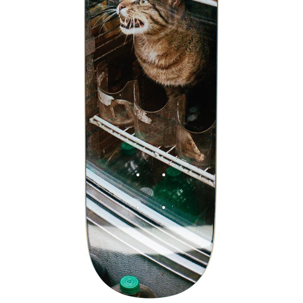 GX1000 Bodega Cat Deck 8.375 - Goodnews Skateshop