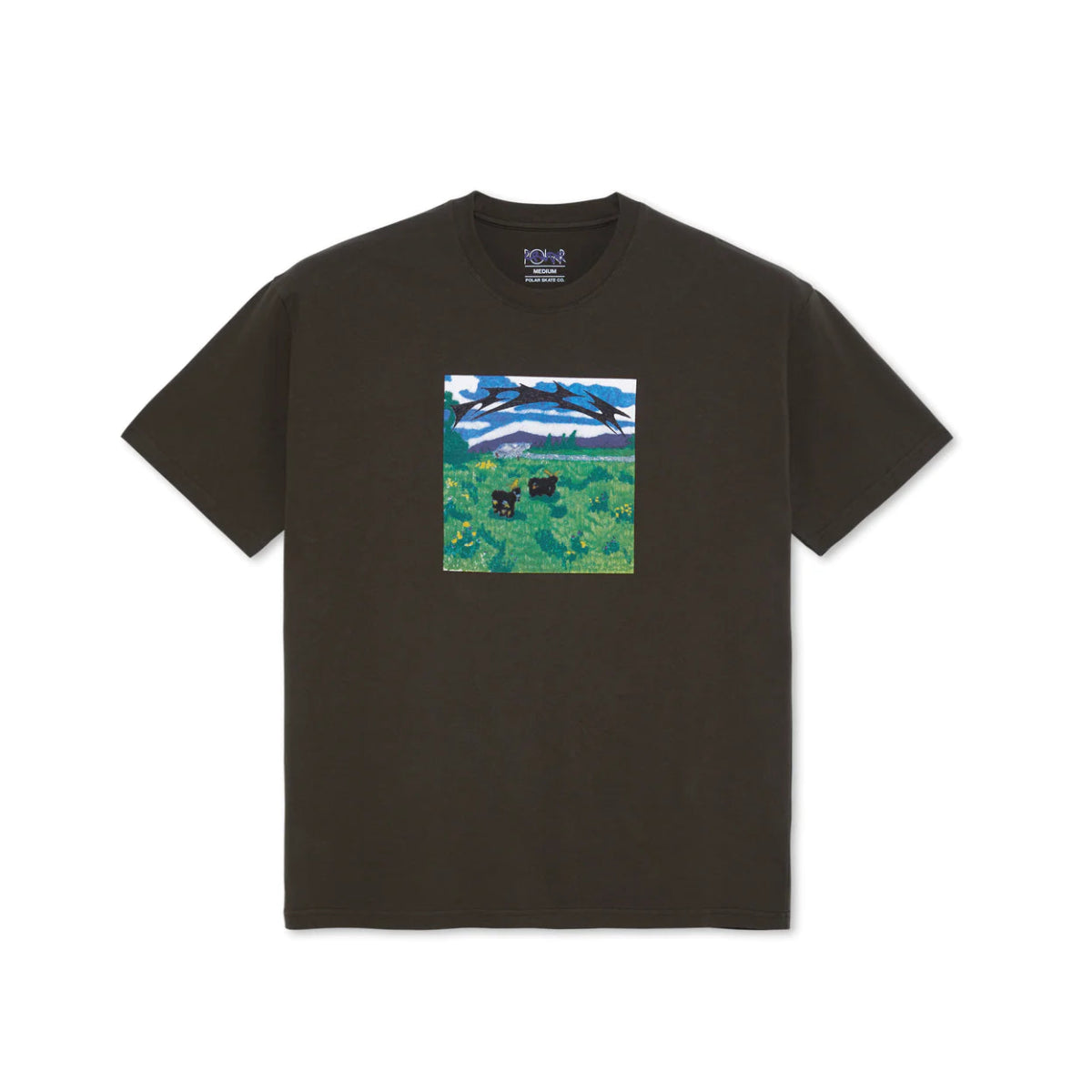 Polar Meeeh T-Shirt in Brown - Goodnews Skateshop