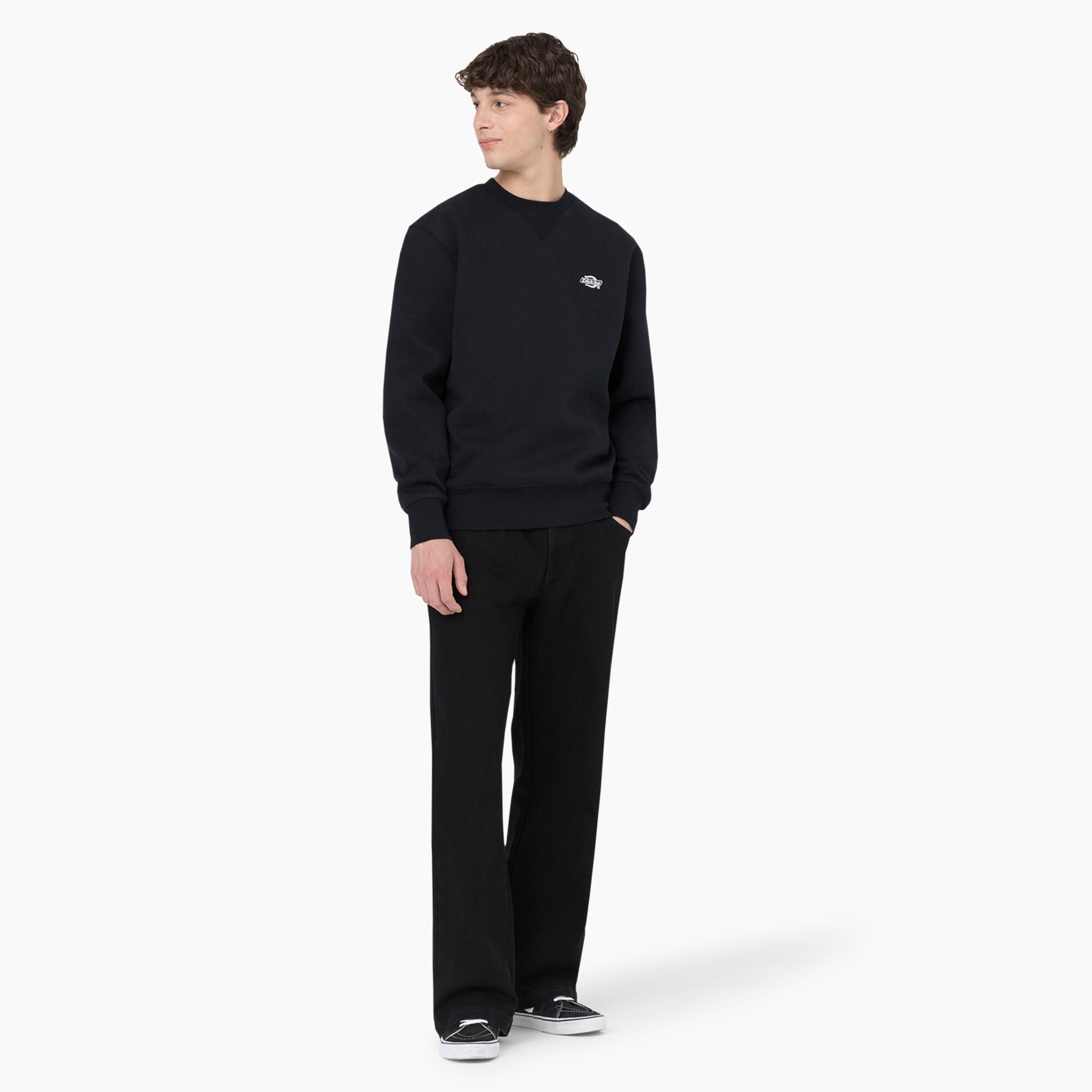 Dickies Skateboarding Wingville Loose Fit Jeans in Black