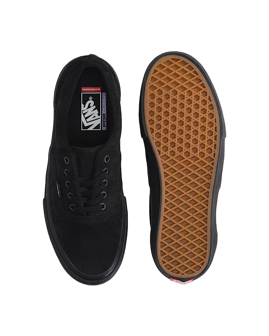 Vans Skate Era in Black/Black