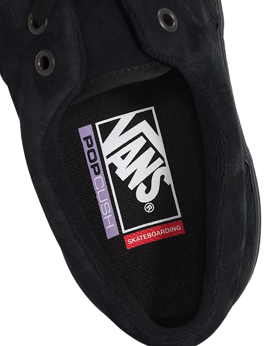 Vans Skate Era in Black/Black
