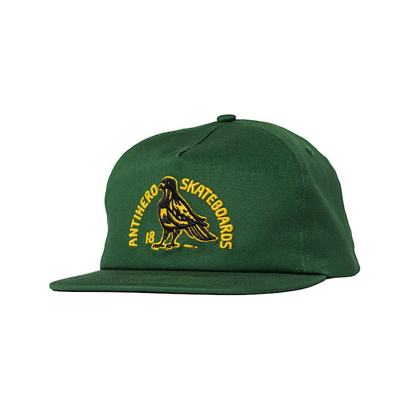 Antihero Clubhouse Snapback Hat in Green/Gold - Goodnews Skateshop