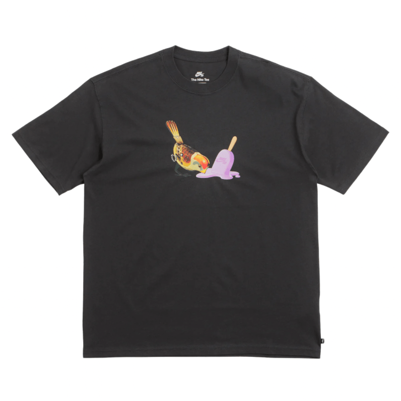 Nike SB Ice Cream T-shirt in Off Noir - Goodnews Skateshop