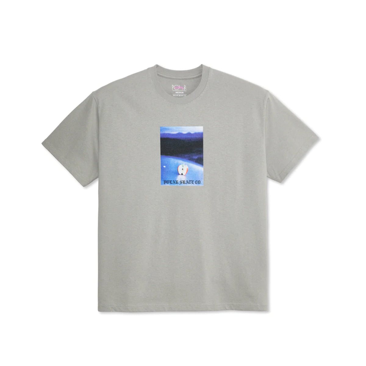 Polar Core T-Shirt in Silver - Goodnews Skateshop